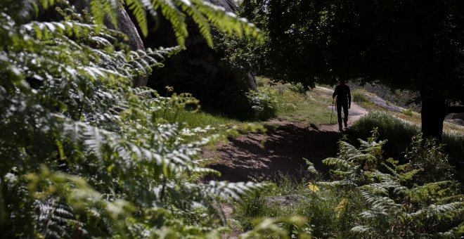 El TSJN anula el Decreto Foral que reducía a dos las categorías de especies en protección