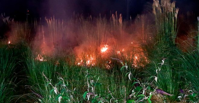 Extinguido un incendio de madrugada en una zona de vegetación en Maliaño