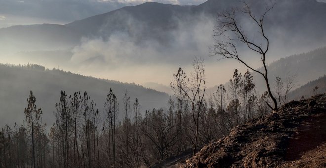 Estabilizados los incendios de Ribas de Sil tras arrasar casi 1.600 hectáreas