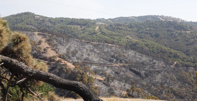 Sierra Bermeja, un paraje "único a nivel mundial" arrasado por las llamas
