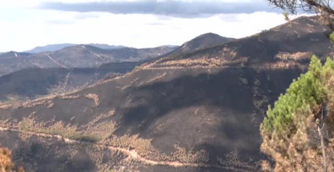 Andalucía solicitará la declaración de zona catastrófica para el área de Sierra Bermeja arrasada por el fuego