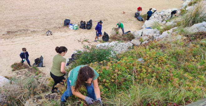 Voluntarios retiran una tonelada de plantas invasoras de la playa de Marzán