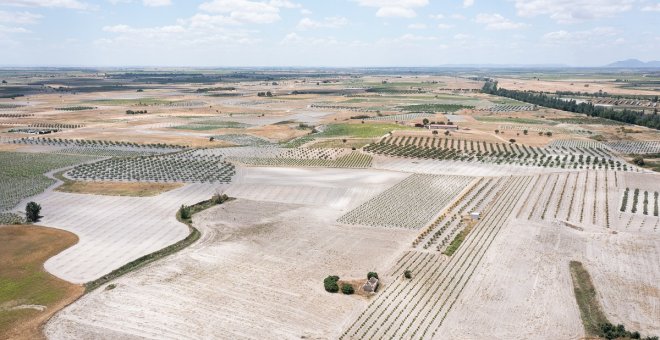 Los cuatro acuíferos más importantes de España, esquilmados por la agricultura intensiva