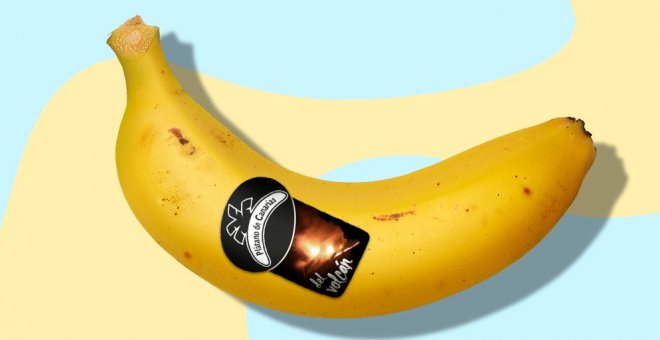 Plátano de Canarias "del volcán": la nueva pegatina distintiva del producto palmero que busca ayudar a los agricultores