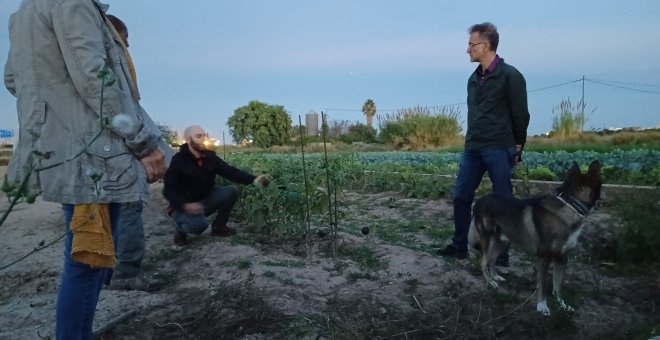 València apuesta por la soberanía alimentaria como vía para salvar su vega