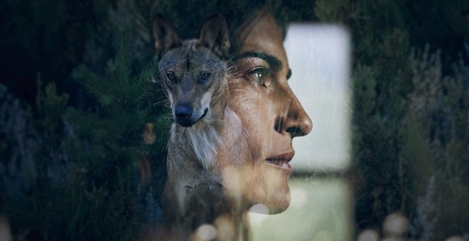 'En Tierra de todos', el documental que da voz a los pastores y pone en valor la coexistencia con el lobo