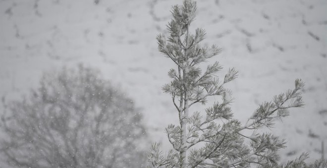 Gran parte de España estará este domingo en riesgo por nieve, lluvia y viento