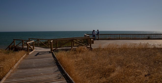 Doñana y los regadíos: luchas de ayer, agua para hoy y sed para mañana