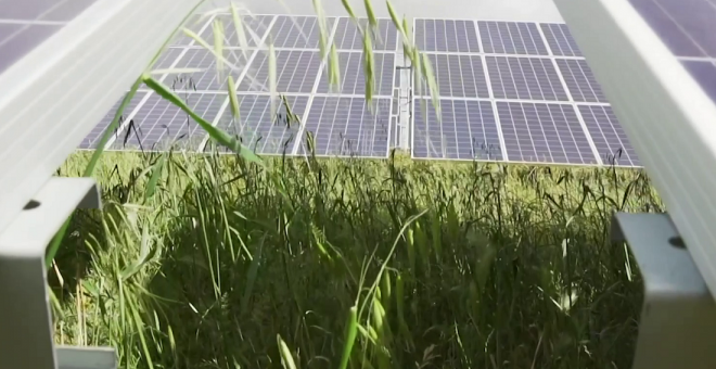 La filial británica de Iberdrola compra 17 proyectos fotovoltaicos en Reino Unido