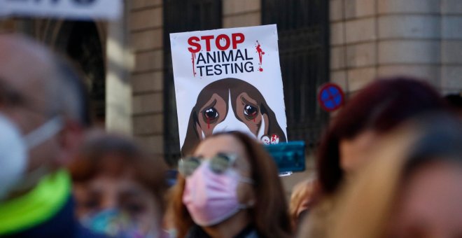 Centenars de persones reclamen la suspensió de l'experiment de la UB amb Vivotecnia i l'alliberament dels cadells