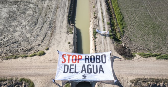 Despliegan pancartas en Doñana, Mar Menor y Tablas de Daimiel para denunciar las 51.465 hectáreas de regadío ilegal