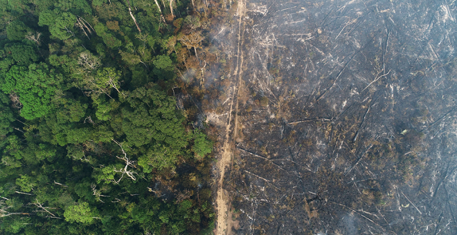 La Amazonía brasileña sufre la mayor deforestación registrada desde el año 2016