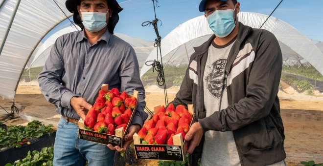 Huelva contrata a trabajadores hondureños para la campaña de la fresa