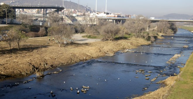 El río Besòs, de cloaca a corredor ecológico