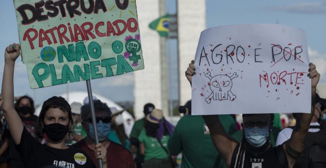 La deforestación amazónica alcanza el mayor nivel de alerta desde 2016