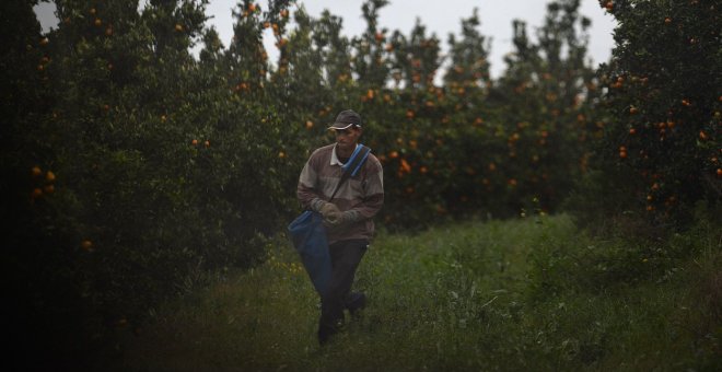 Andalucía frontera sur: la migración más allá de los bulos