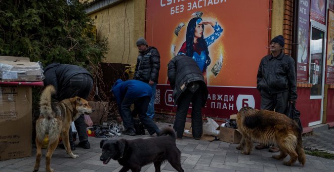 Viaja 5.000 kilómetros para salvar a una treintena de perros de Ucrania