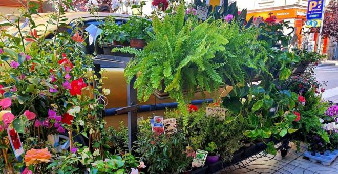 'Cultiva Torrelavega' premiará la confianza en el comercio local regalando flores