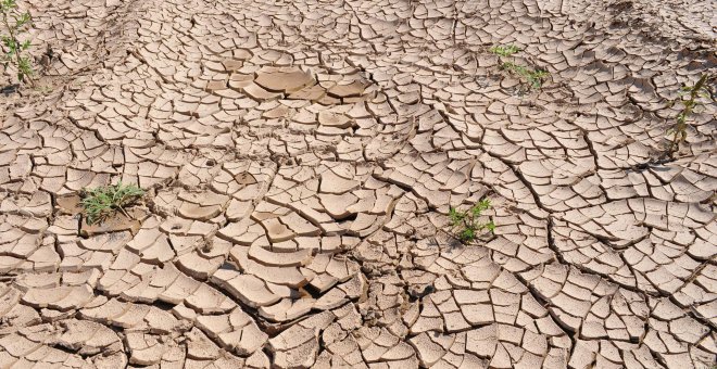 Julio arranca con los embalses al 45% de su capacidad, 20 puntos menos que la media decenal