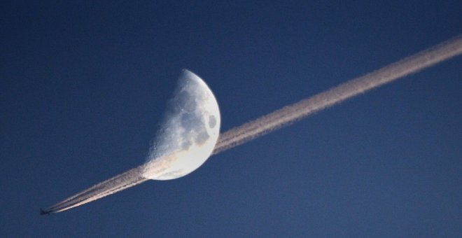 Científicos consiguen cultivar plantas en el suelo de la Luna