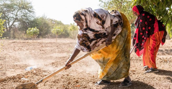Ecologismo de emergencia - Las riquezas de una África que se seca, se ahoga y adelgaza