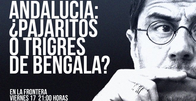 Juan Carlos Monedero: Andalucía, ¿pajaritos o tigres de bengala? - En la Frontera, 17 de junio de 2022