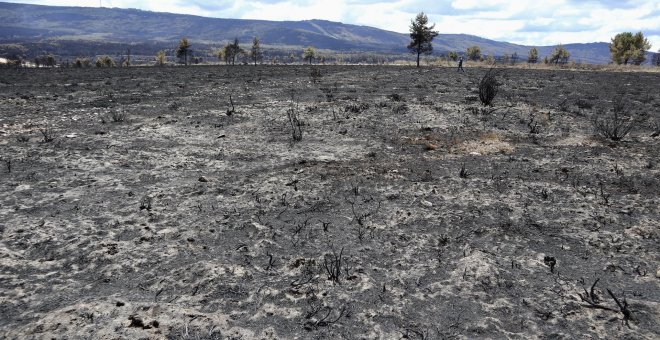 Los bomberos controlan los incendios en Zamora y Lleida, pero el fuego se mantiene en otras zonas del país como Navarra