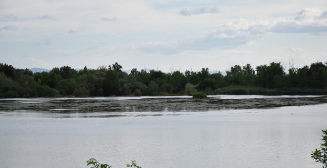 Talavera planta cara a la CHT por el "atropello medioambiental" del Tajo y la insalubridad al proliferar los mosquitos