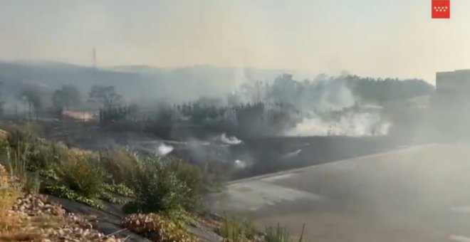 Los equipos de Emergencias estabilizan el incendio forestal en Aranjuez (Madrid)