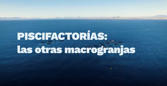 La tortura dentro de las piscifactorías españolas sale a la luz por primera vez