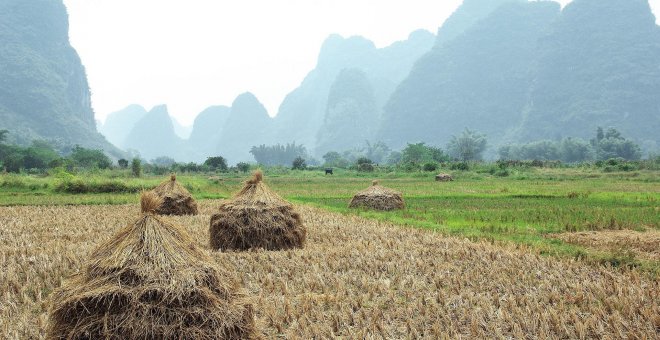 Trabajo forzado uigur en China: guerra comercial y derechos humanos