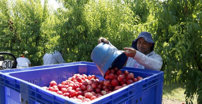 El encarecimiento de la fruta desplaza los hábitos de compra hacia productos menos saludables