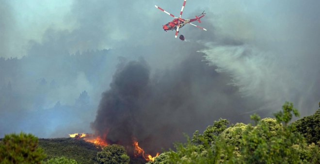 Los incendios en España continúan a merced del tiempo, con especial atención a León, Ávila y Tenerife