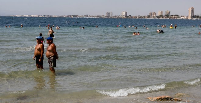 La ostra plana puede filtrar el exceso de nutrientes del Mar Menor y salvarlo