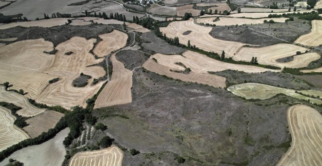 Los ecologistas piden reducir el "consumo excesivo de agua" orientado a regadío para solventar la sequía