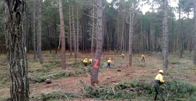 Prevención y profesionalización, claves de la lucha contra los incendios forestales en Castilla-La Mancha
