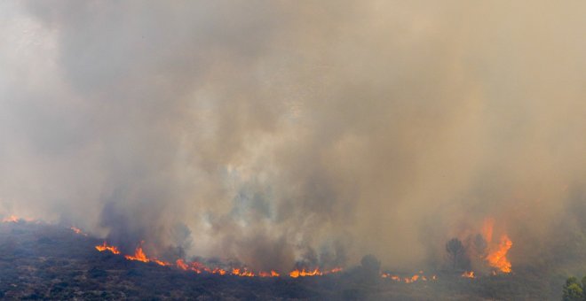 Investigan si el incendio de Petrer se originó con las brasas de una barbacoa