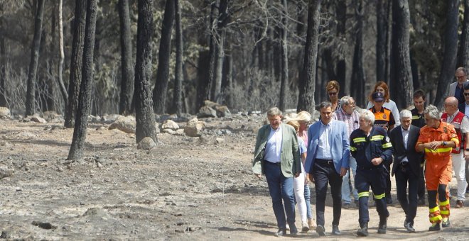 El Gobierno declarará como "zona catastrófica" los territorios asolados por los grandes incendios