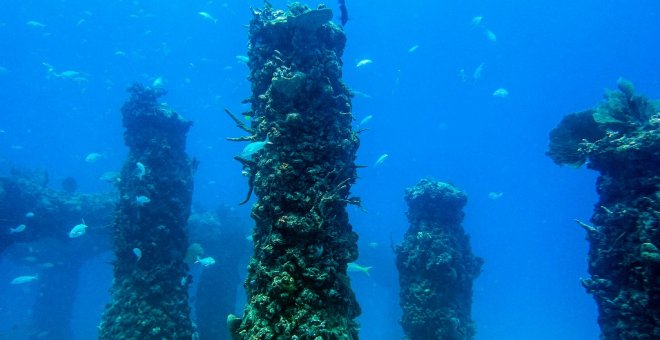 Fracasan las negociaciones en la ONU para alcanzar un acuerdo de protección de los océanos