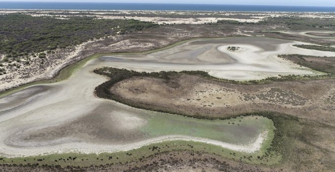 Vox presiona al PP de Moreno para que retome la polémica ampliación de regadíos en Doñana