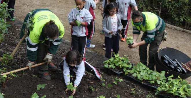 Barcelona sumará 8,5 hectáreas de espacios verdes en 2023