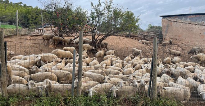 De camí ramader a ruta turística: la nova vida del tram entre Santa Coloma de Queralt i Cunit