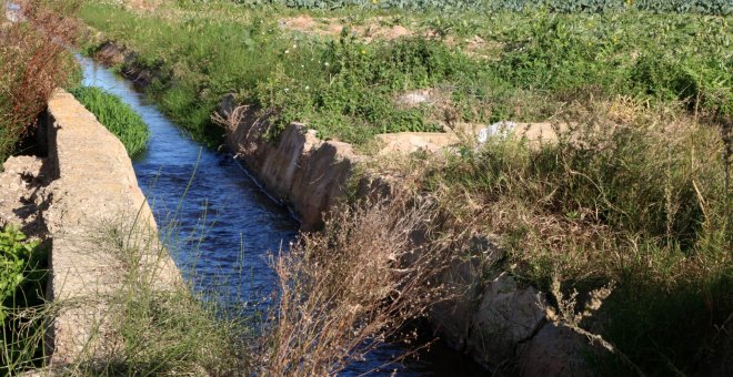 Ecologistes en Acció denuncia la inacció dels ajuntaments del Baix Llobregat davant la situació de sequera