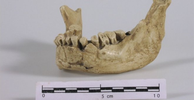 La mandíbula de Banyoles va pertànyer al primer 'Homo Sapiens' que va viure a Europa