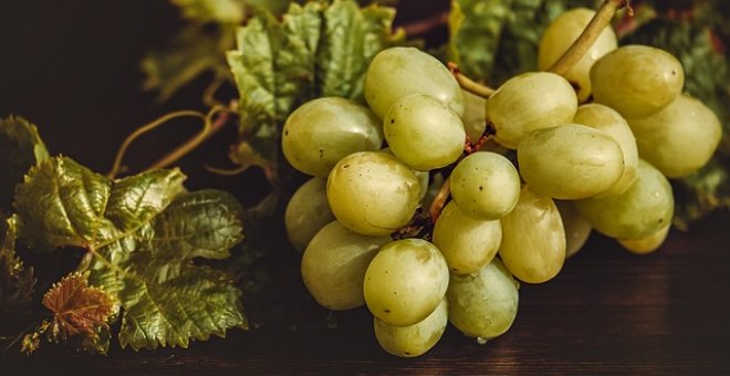 Pato confinado - El sorprendente origen de la tradición de comer las uvas en Nochevieja
