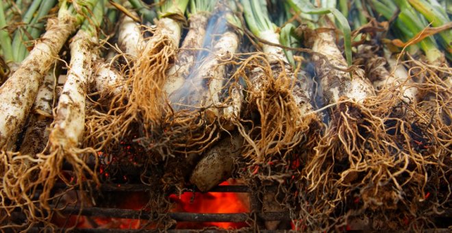 Receptes amb calçots: 5 idees més enllà de les calçotades