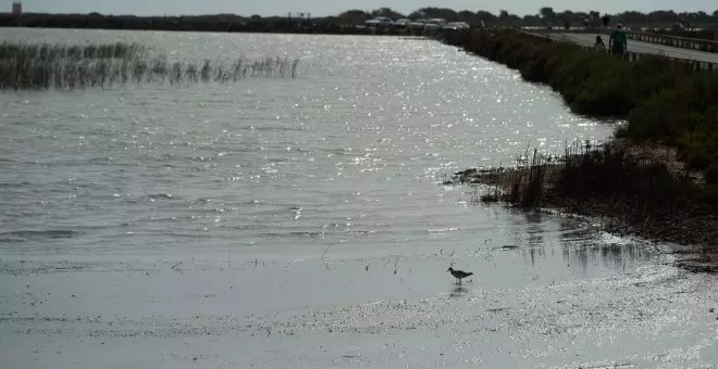 El Gobierno murciano aprueba el decreto que prorroga la moratoria urbanística en el entorno del Mar Menor