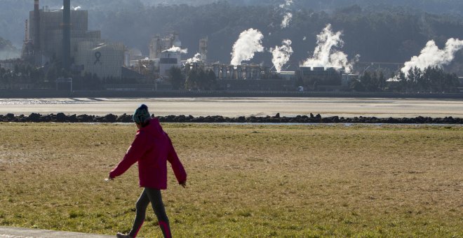 La sentencia que permite que la celulosa de Ence siga ocupando terreno público en Pontevedra divide otra vez al PSOE gallego