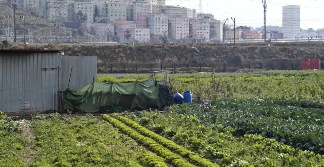 El barrio de Vallbona celebra la protección de la última llanura agrícola cultivable de Barcelona