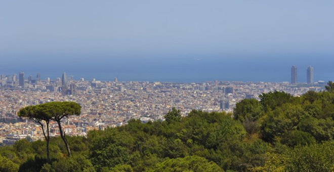 Seis propuestas para disfrutar de Collserola corriendo: rutas fáciles, moderadas y difíciles